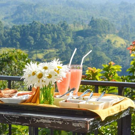 The Waterfall Villas Talawakele Bagian luar foto