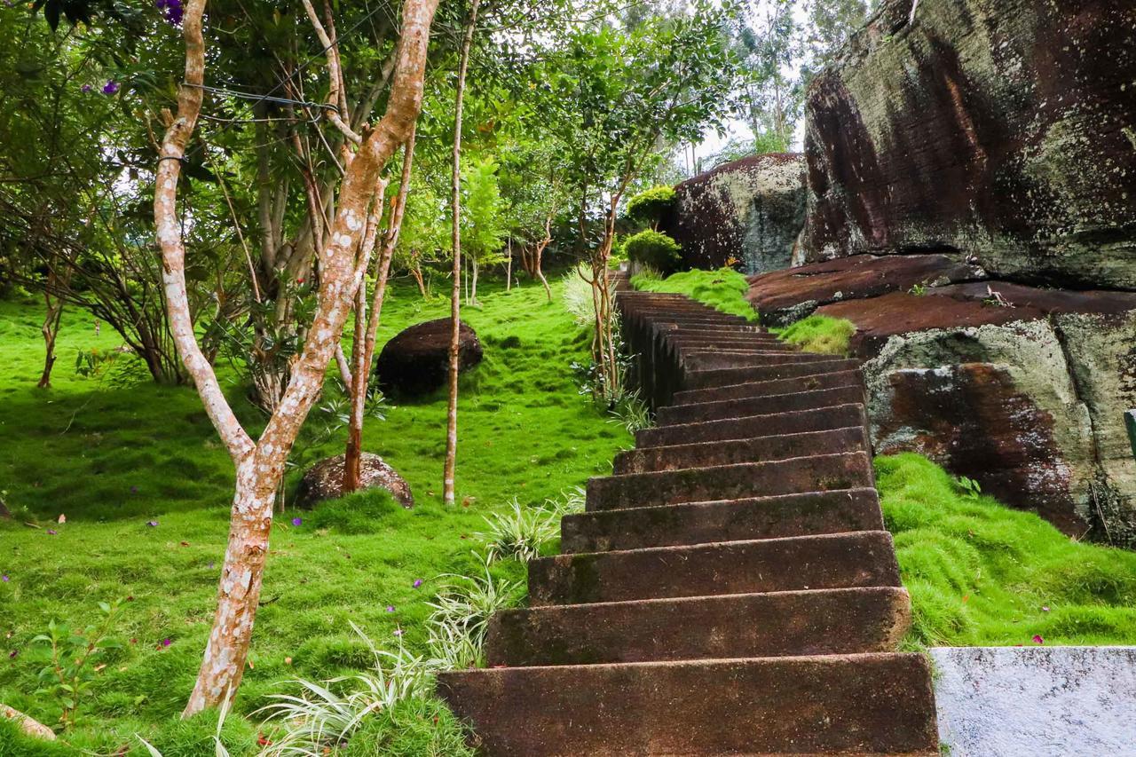 The Waterfall Villas Talawakele Bagian luar foto